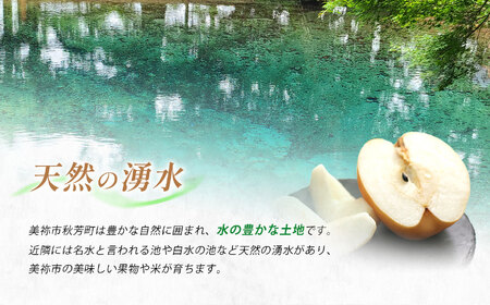 美祢市産 梨 あきづき（ 約3kg ） 先行予約 〈 2026年9月下旬 ～ 発送予定 〉