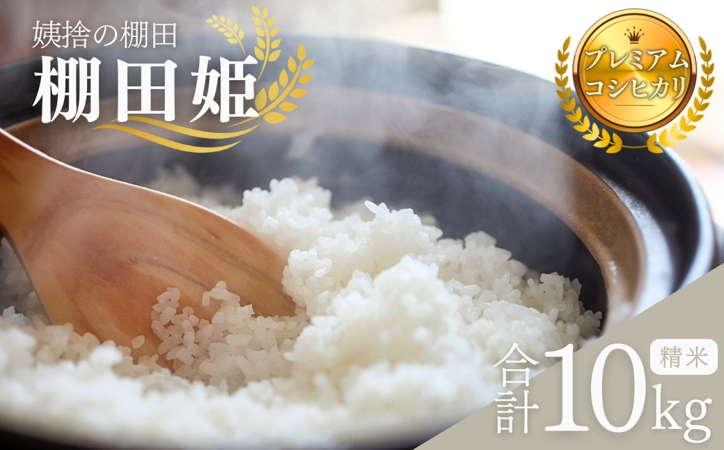 
                  【2026年先行予約】【令和8年産】姨捨の棚田 プレミアム コシヒカリ 「 棚田姫 」 10kg| 米 白米 精米 棚田米 長野県 千曲市 おばすて 信州
                