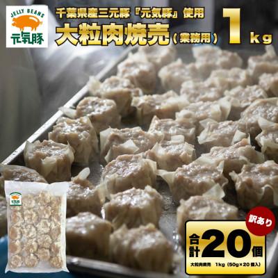ふるさと納税 多古町 訳あり　元気豚 大粒肉焼売 1kg(50g×20個入り)