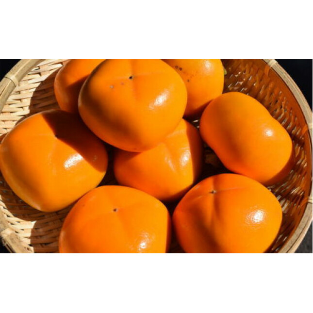 【厳選・産直】和歌山産のたねなし柿2L～4Lサイズ約4kg（化粧箱入り） ※2025年10月上旬～11月上旬頃に順次発送予定 ※離島への配送不可