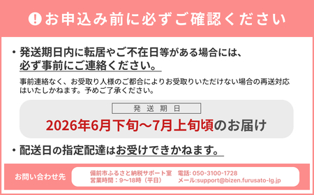 【2026年発送分　先行受付開始！】びぜん白桃　早生4品種のうち1品種　約4kg（令和8年6月下旬～7月上旬頃発送）【岡山県備前市産 早生 4品種のうち1品種 約４kg （１５～１８玉目安）】