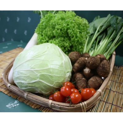 ふるさと納税 芝山町 野菜セット 「大地の恵みセット」6〜7種 +古代米バウムクーヘン |  | 02