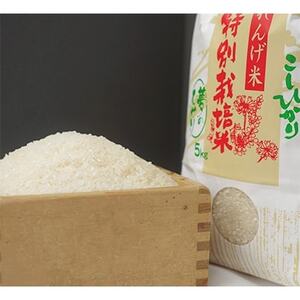 夢のひかり　5kg(こしひかり)【1202412】