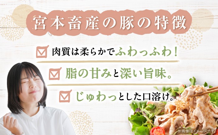 国産 豚肉 切り落とし きりおとし