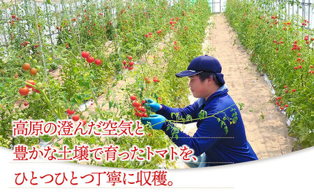 【無塩・無糖】窪畑トマト100％ジュース　160ml × 4本　K-738　株式会社山本組