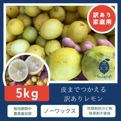 ふるさと納税 松山市 訳ありレモン瀬戸内愛媛県産 5kg
