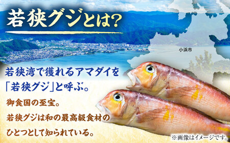 若狭グジの一塩仕立て 700g×1尾  小浜市 / まるほ商店【配送不可地域：北海道・沖縄・離島】  [BFCS003] 