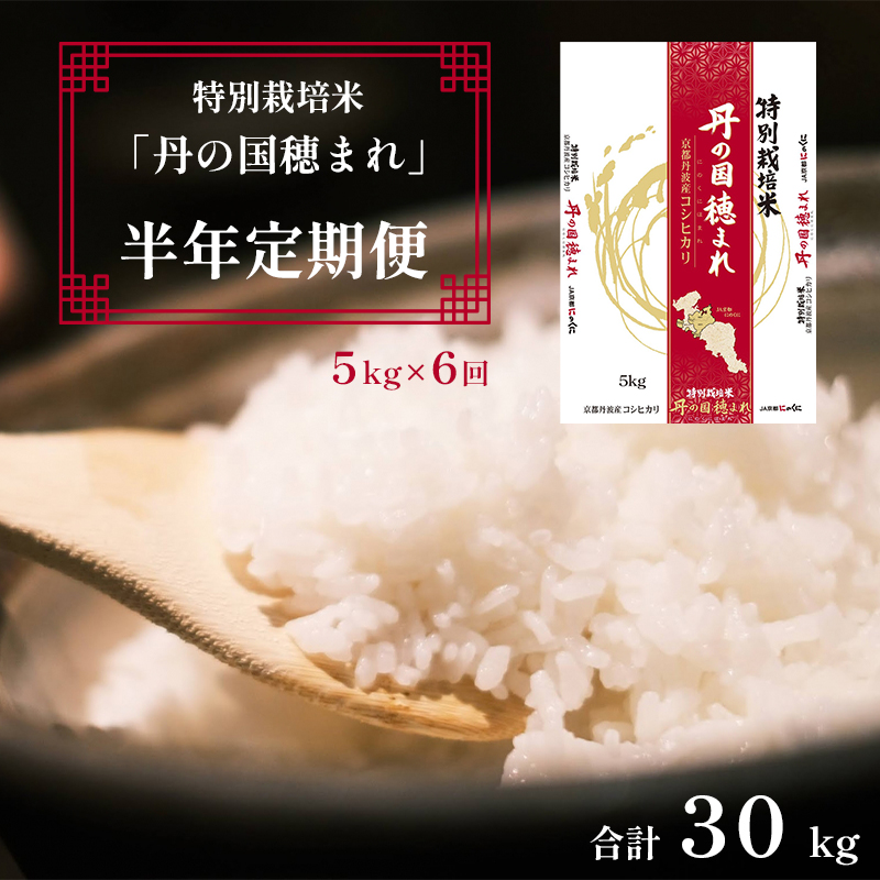 【定期便】特別栽培米 コシヒカリ 丹の国穂まれ 精米 5kg×6回 令和6年度産 新米 30kg 半年定期便 白米 お米 ご飯 米 農協 JA 京都府 舞鶴市