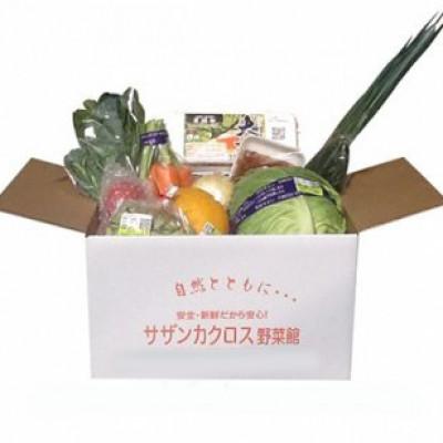 ふるさと納税 日出町 産地直送!旬の朝採れ野菜のセット(9〜13種程度) |  | 01