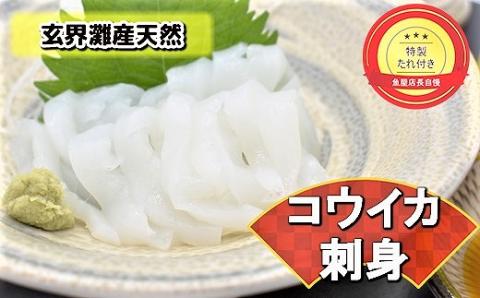 これは食べなイカん！！ お刺身コウイカ600g（50g×12P）★魚屋店長自慢の特製たれ付き[F0082]