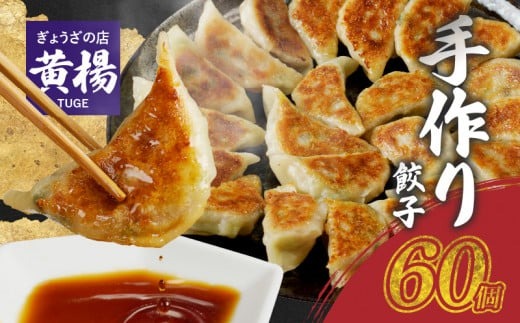 【ぎょうざの店 黄楊】手作り餃子　60個（餃子30個×２パック）N0099-YA4419