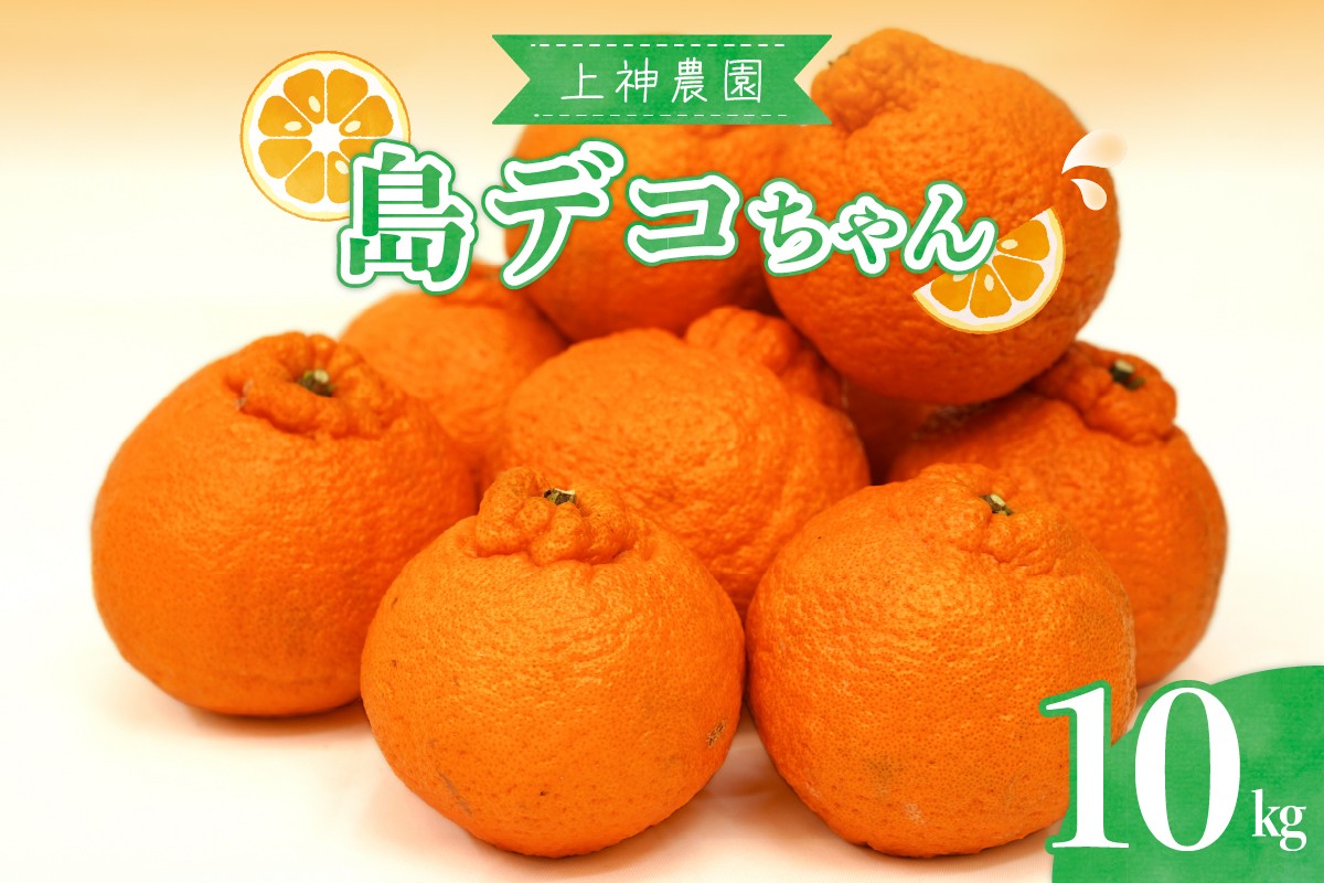 
            【2026年2月中旬～発送】上神農園の島デコちゃん 約10kg ku011-006-25
          