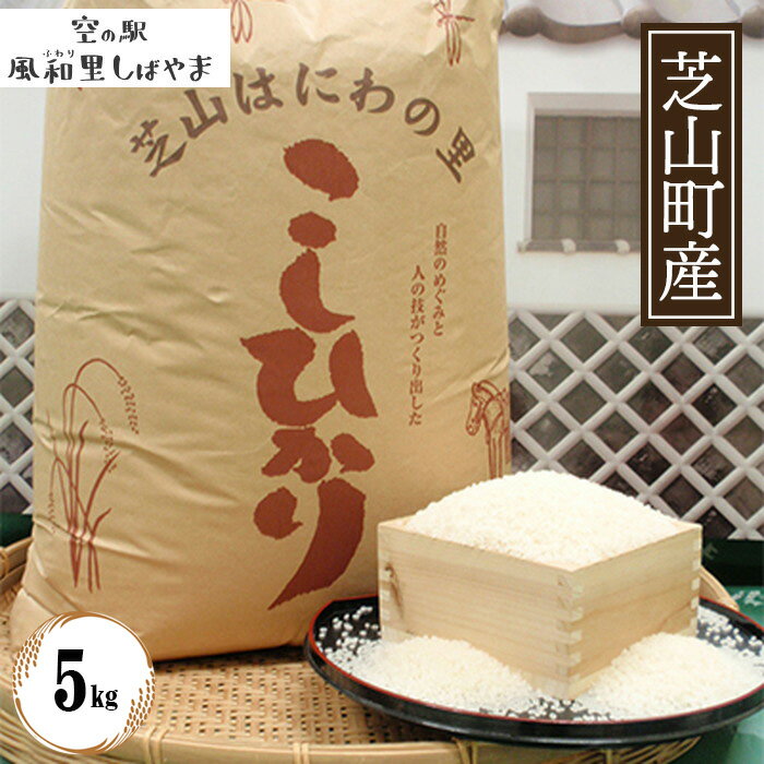 【ふるさと納税】 令和7年産　芝山産コシヒカリ5kg（精米） ／ コシヒカリ 玄米 げん米 げんまい 米 こめ コメ お米 こしひかり ご飯 ごはん 弁当 おにぎり 美味しい 評判 自慢の逸品 送料無料 千葉県 安定品質 炊き立て ふっくら 甘み もっちり 食卓用 産地直送 No.070