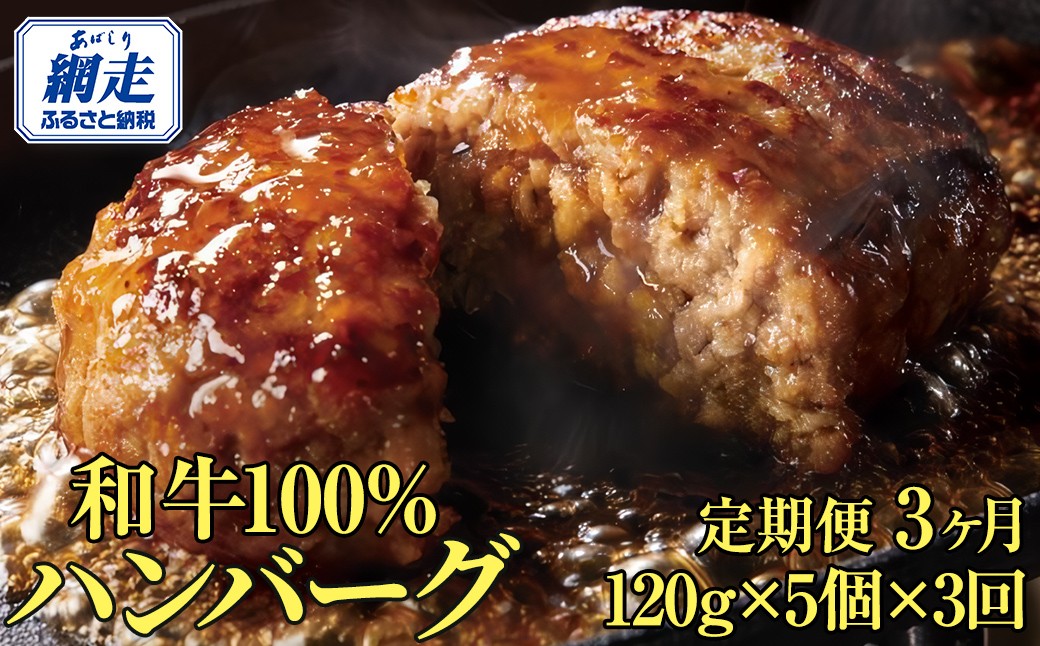 ＜網走産＞【3ヶ月定期便】【オホーツクあばしり和牛】ハンバーグ・総重量 600g（120g×5個）×3ヶ月 【 ふるさと納税 人気 おすすめ ランキング 牛ハンバーグ オホーツクあばしり和牛 和牛100% 北海道 網走市 送料無料 】 ABW015