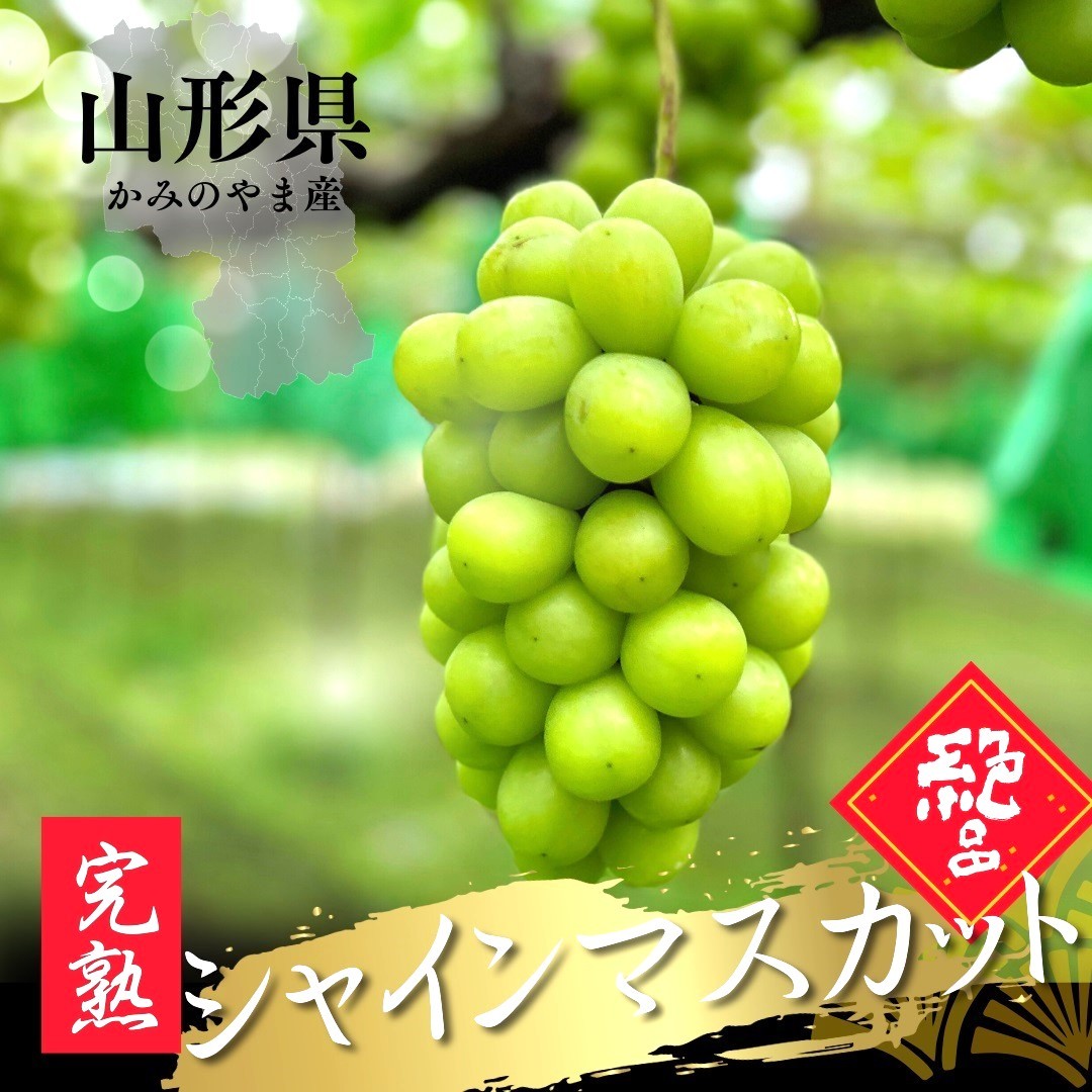 
                  大粒シャインマスカット　３～５房　合計２ｋｇ以上　秀品　0079-2614
                