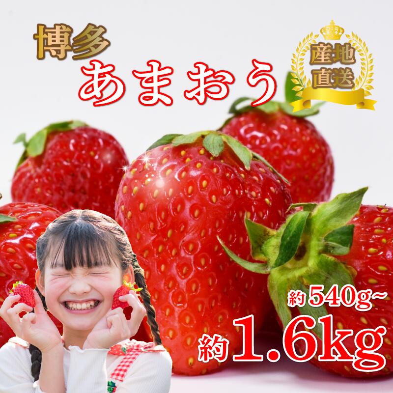 【ふるさと納税】 【1-2月より発送予定】 あまおう約270g×2-6パック グランデ いちご 苺 冷蔵 イチゴ フルーツ 果物 くだもの 春 旬 小分け 福岡県産 苺 あまおう 1kg以上 スイーツ 数量限定 期間限定 特産品 デザート 川崎町福岡 九州 福岡県 川崎町