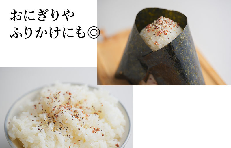 焼き肉専門店 梅じお ガーリック スパイス 90g×3袋 お試し 005A561_イメージ5