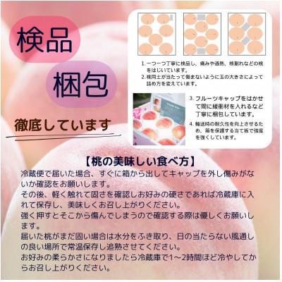 ふるさと納税 山梨市 【発送月固定定期便】山梨夏の味覚定期便〈桃 約2kg/シャインマスカット 1.1kg以上〉全2回 |  | 01