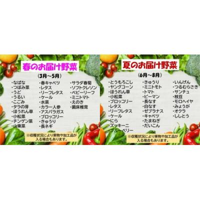 ふるさと納税 北上市 【8年連続1位】野菜セットA 7品 以上 |  | 01