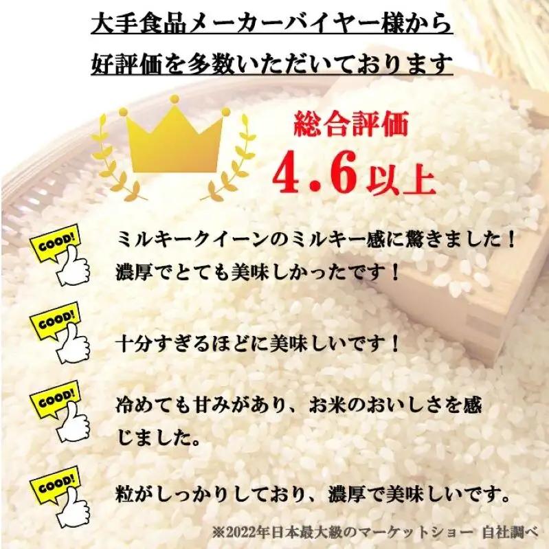 ミルキークイーン 定期便 6ヶ月 無洗米 2kg ミルキークイーン