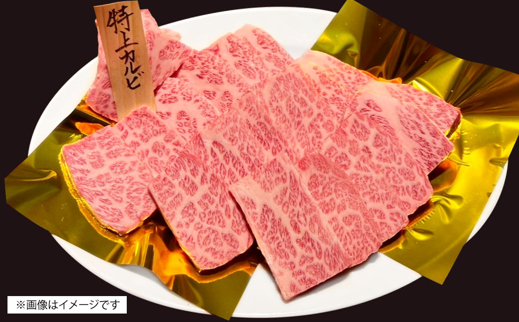 博多和牛 特上カルビ 約500g（約250g×2パック） 