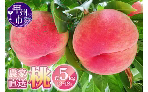 農家直送 桃 約5kg 13～18玉【2025年発送】（YKI）C5-990【桃 もも モモ 令和7年発送 期間限定 山梨県産 甲州市 フルーツ 果物】
