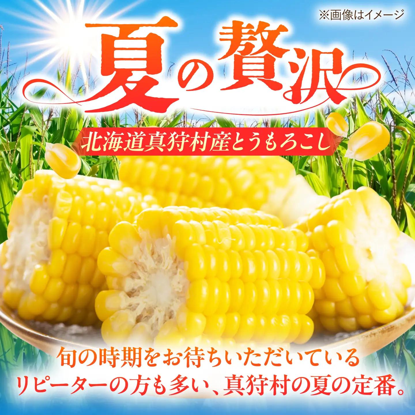 【先行予約】とうもろこし 黄 5kg  [BPAM020] とうもろこし