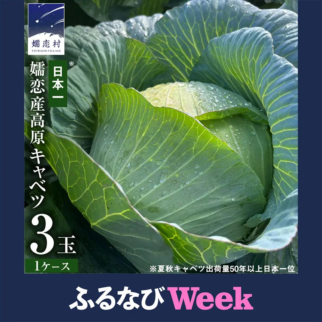 【ふるなびWEEK対象】＜レビューキャンペーン開催中＞【7月中旬発送開始】 嬬恋キャベツ 嬬恋産 高原キャベツ3玉1ケース [AS010tu]