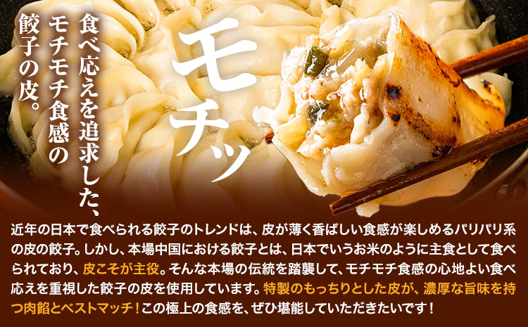 餃子 うまかポーク生餃子 150個【6ヶ月定期便】 タレ付き 大津町限定返礼品 冷凍餃子 ギョウザ《お申込み月の翌月から出荷開始》大津町産豚肉使用 九州産キャベツ使用（大津町産含む）皮モチモチ 肉汁溢