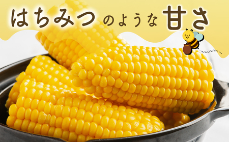 [先行受付]2026年産 スウィートコーン!「はちみつのような甘さのミエルコーン」11本 AF004 | とうもろこし