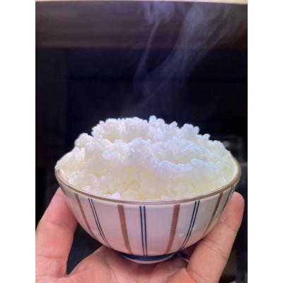ふるさと納税 那須塩原市 那須塩原市産コシヒカリ 精米10kg |  | 01
