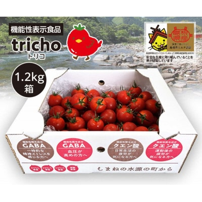 
高糖度フルーツトマト「tricho(トリコ)」1.2kg【1420206】
