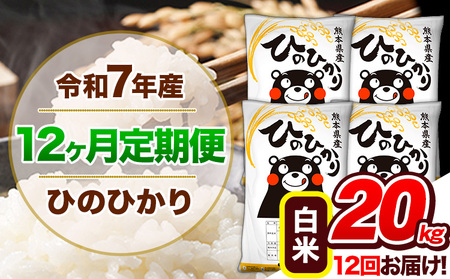 【12ヶ月定期便】 令和7年産 定期便 ひのひかり 白米 20kg 《お申込み翌月から出荷》熊本県産 ｜人気米 熊本県産米 お米 生活応援米