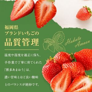 【アフター保証】4月発送！JAよりお届け！「博多あまおう」約280g×2パック【ほたるの里】_HA1938