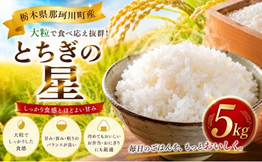 新米 お米 とちぎの星  5kg  | 先行予約 令和8年度産 ふるさと納税 お米 ご飯 精米 白米 栃木県 那珂川町 送料無料