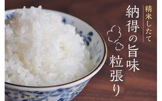 令和7年産 山形県 最上町産 特別栽培米 はえぬき 5kg