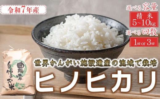 
                  令和7年産 ヒノヒカリ 精米 八千種米 お米  白米 米 ごはん 兵庫 兵庫県産 世界かんがい施設遺産登録『西光寺野疏水路』 お米 選べる容量　選べる回数
                