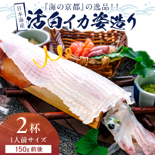 日本海産　『海の京都』の逸品！！　活白イカ姿造り（クリスタル白いか）1人前サイズ2杯（150g前後）（2027年6月上旬～発送） ふるさと納税 海鮮 鮮度抜群 新鮮 海鮮 いか イカ 簡単調理 生産者応援 送料無料 生食 魚介類 活イカ