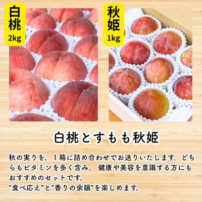 ふるさと納税 山形市 やまがた果実めぐり ―白桃と秋姫― 約3kg 秀品【令和8年産先行予約】FS25-090 |  | 01