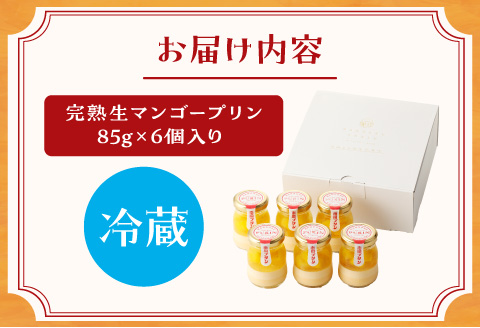 【宮崎産】完熟生マンゴープリンpremium【6個ギフトボックス】
