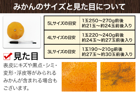  訳あり 大粒みかん 6kg 熊本県産 大玉みかん 訳ありみかん 傷 5L～3Lサイズ 《2025年1月中旬-2月末頃より出荷予定》 みかん たっぷり 熊本みかん 熊本県産みかん (荒尾市産含む) 熊