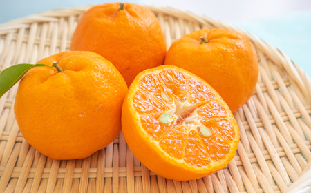 なるた果樹園季節のみかん定期便（年3回お届けコース）