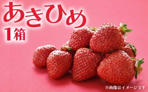 【 先行予約 】 数量限定 いちご 350g 1箱 あきひめ 完熟 贈答 贈答用 イチゴ 苺 章姫 果物 旬 ストロベリー スイーツ デザート フルーツ くだもの 果物 ベリー 甘い おいしい オススメ 期間限定 産地直送 人気 ichigo strawberry itigo 滋賀県 竜王町 ひさだ苺農園 [HN017]