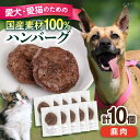 【ふるさと納税】ペットフード 鹿肉 100%ハンバーグ 10個セット ペット 愛犬 愛猫 おやつ ご褒美 ごはん 猫 犬 てづくり 国産 ドッグフード 【ペットフードYM japan】[AKEX010]