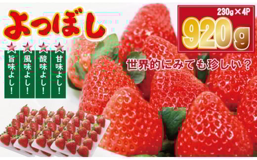 【先行予約令和8年1月配送開始】佐賀県産いちご「よつぼし」（230g×4パック）920g しもむら農園 イチゴ 苺