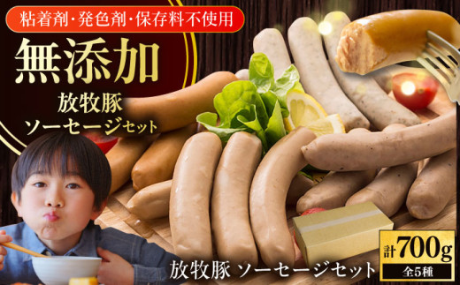 【簡易包装】放牧豚 ソーセージ5種セット《厚真町》【ファーマーズファクトリー株式会社】 ソーセージ ウインナー 無塩せき 粗挽き 冷凍配送 セット 詰め合わせ 北海道 [AXBA004]