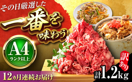 【全12回定期便】【訳あり】博多和牛 切り落とし 1.2kg(600g×2P)[BGAB094]定期便 人気定期便 定期便