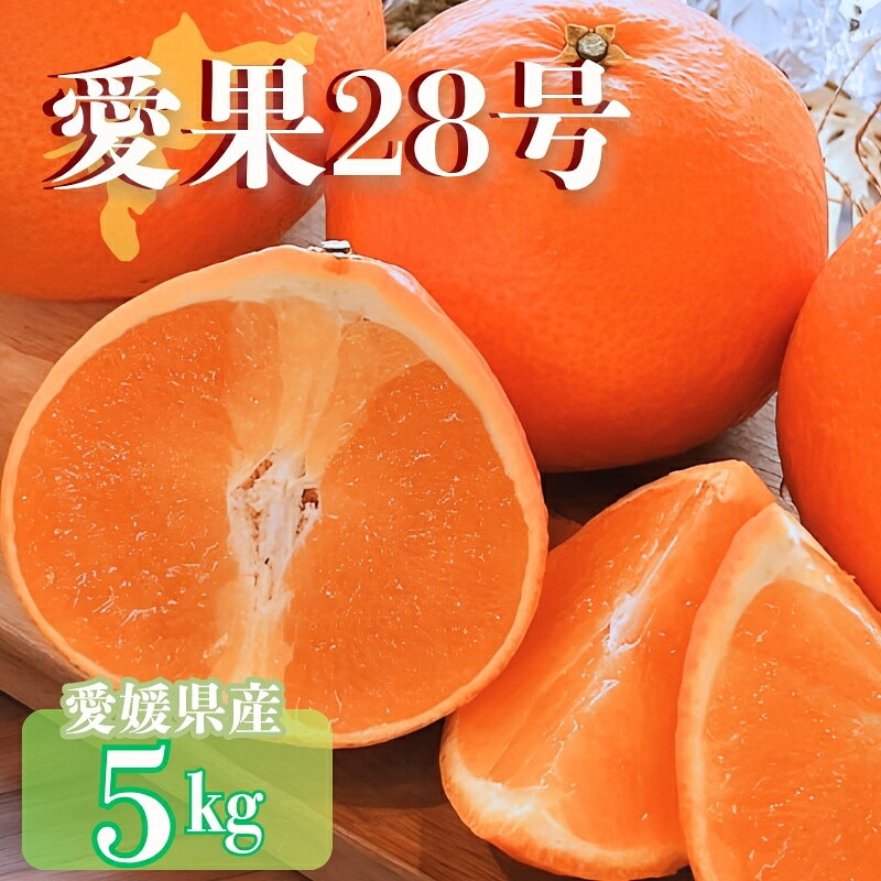 【ふるさと納税】【2026年先行予約】 みかん 愛媛 愛果28号 紅まどんなと同一品種 5kg 家庭用 人気 数量限定 柑橘 伊予市【2026年11月下旬以降順次発送】｜C120