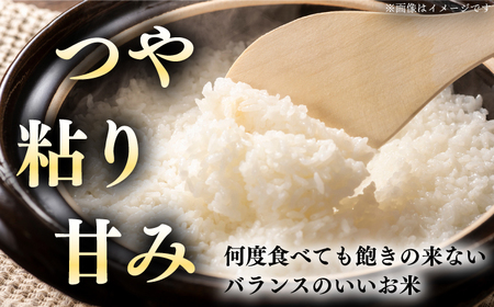 【全6回定期便】令和7年産 ななつぼし さくら米 10kg 6ヵ月 北海道 [AXAB023]