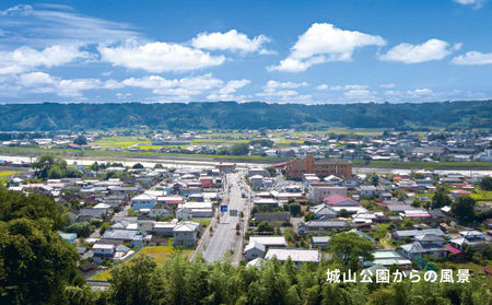 高城合戦１冊＜みやざき文庫＞K00_0003_1